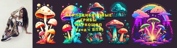бошки Лабытнанги