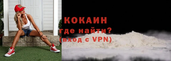 гидра Лагань