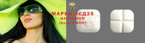 бошки Лабытнанги
