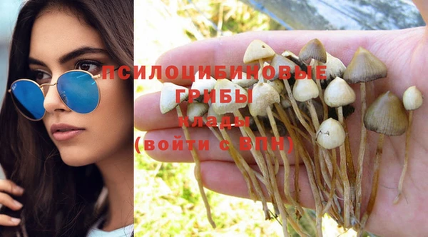 бошки Лабытнанги