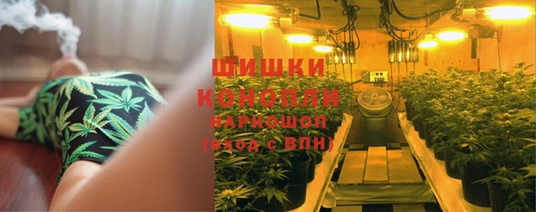 гидра Лагань
