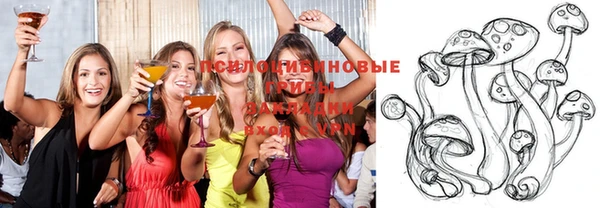бошки Лабытнанги