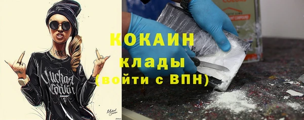 гидра Лагань