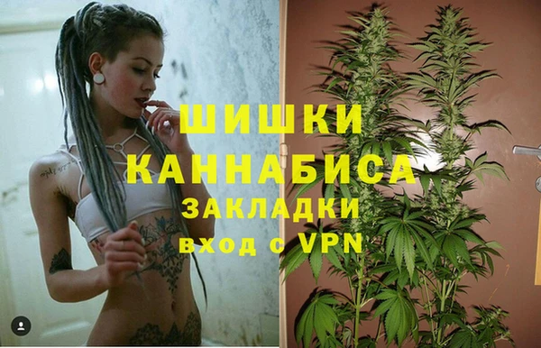 прущая мука Ладушкин